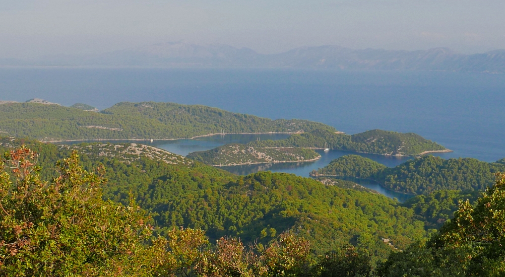 Veliki Planjak: pogled proti severu
